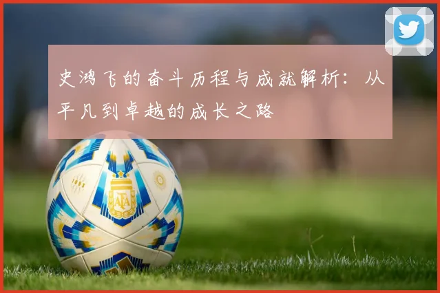 史鸿飞的奋斗历程与成就解析：从平凡到卓越的成长之路