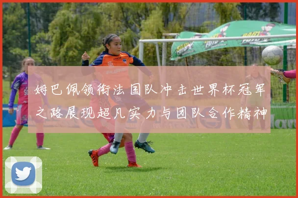 姆巴佩领衔法国队冲击世界杯冠军之路展现超凡实力与团队合作精神